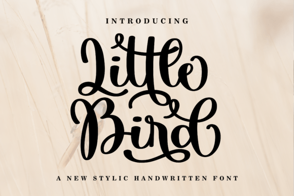 Little Bird: A Script Font That Feels Personal